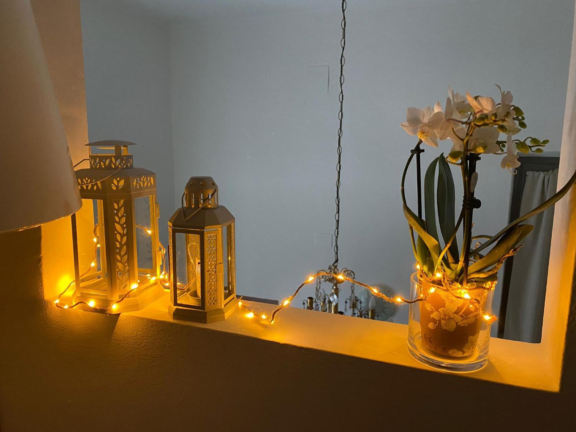 Apartament Grey House *