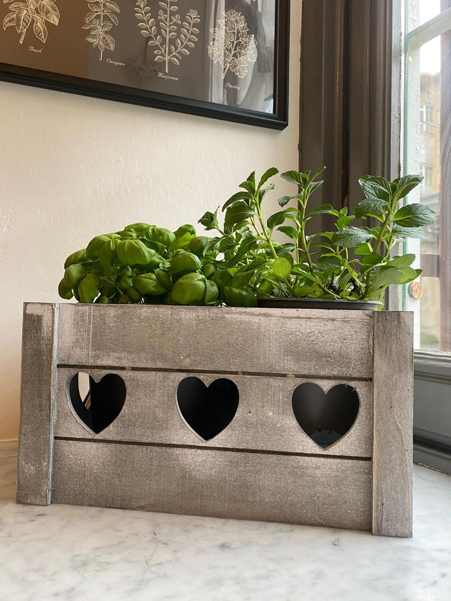 Grey House Turyn