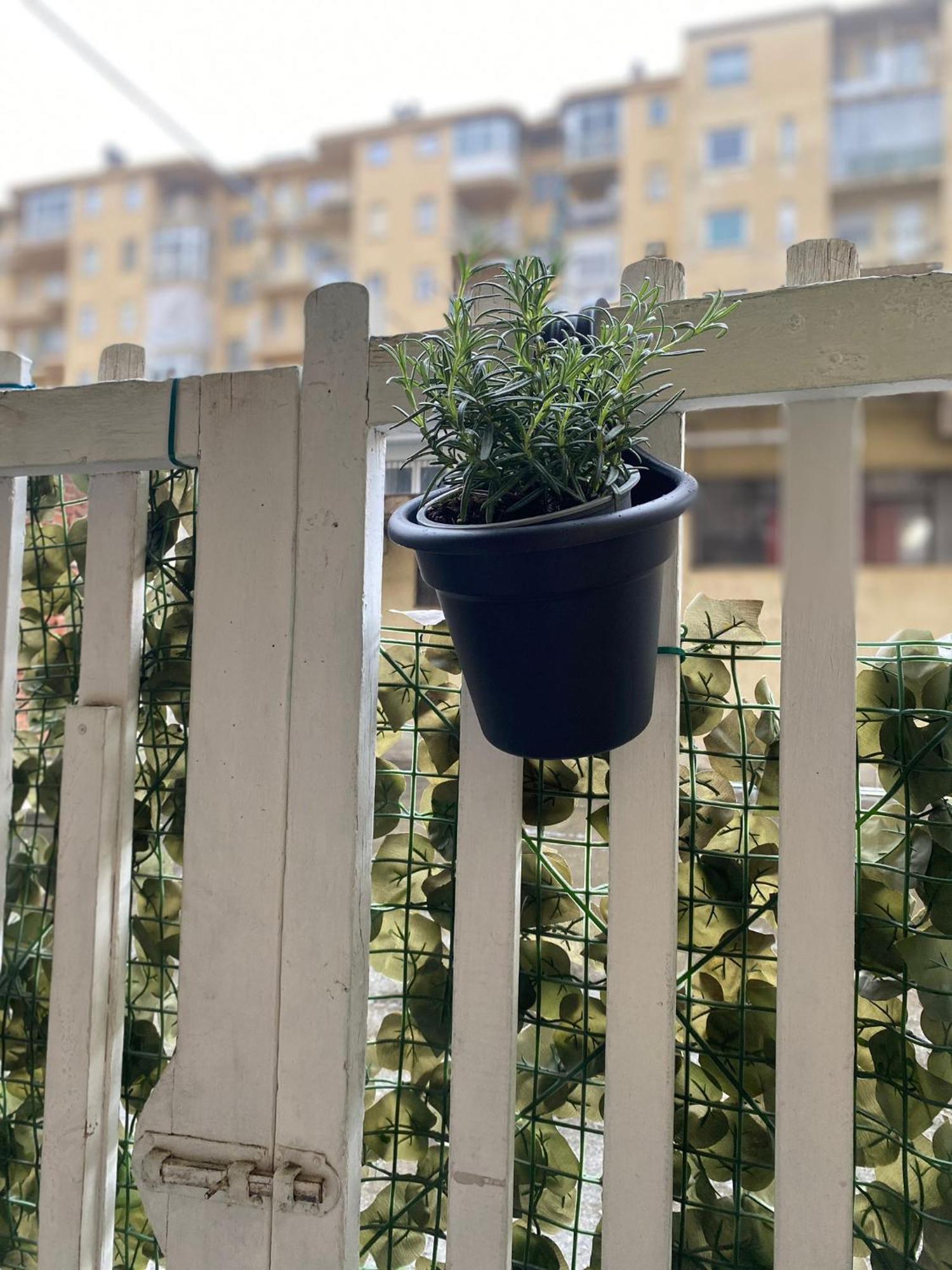 Apartament Grey House Turyn